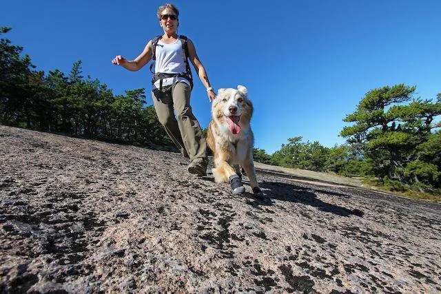 Ruffwear Grip Trex™ All-Terrain Dog Boots (Obsidian Black)