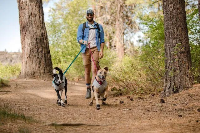 Ruffwear Grip Trex™ All-Terrain Dog Boots (Obsidian Black)